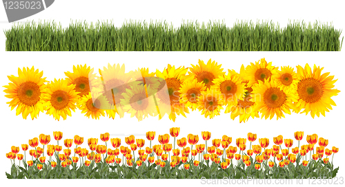 Image of Tulips, Sunflowers and Grass Borders Springtime Theme