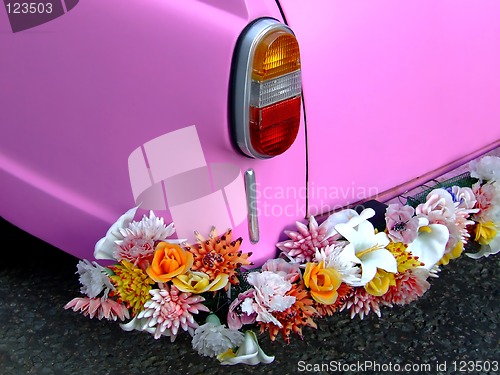 Image of Pink car rear