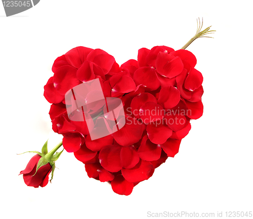 Image of Heart Shape Made Of Rose Petals With Long Stemmed Rose as an Arr