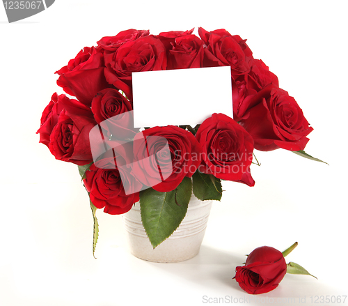 Image of Roses in a Pot With Blank Message Sign f