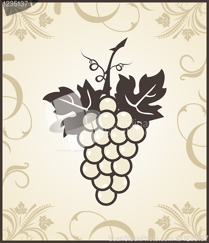 Image of retro engraving of grapevine