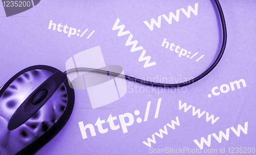 Image of Mouse