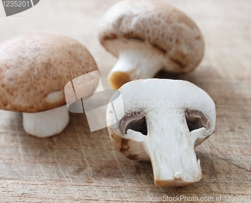 Image of Brown mushrooms