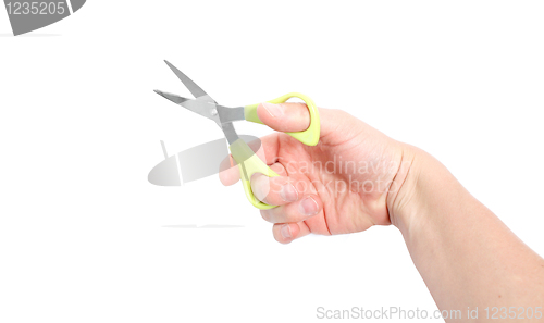 Image of Scissor