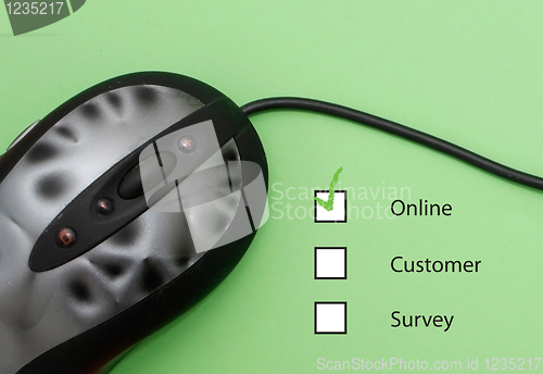 Image of Online customer survey