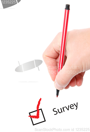 Image of Survey