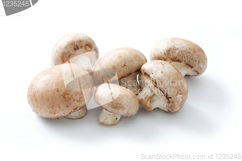 Image of Brown mushrooms