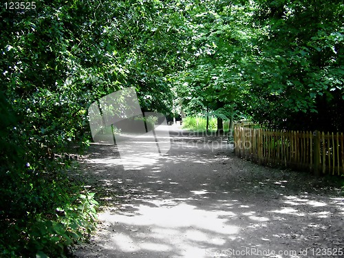 Image of Wood road