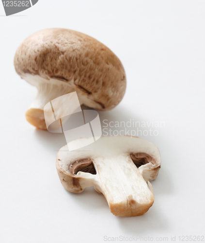 Image of Brown mushrooms