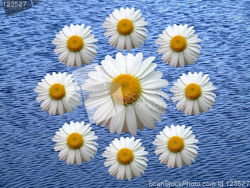 Image of Wreath of chamomile blue