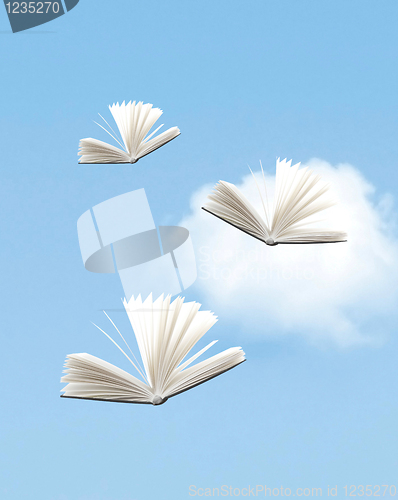 Image of Knowledge
