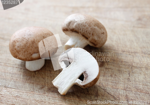 Image of Brown mushrooms