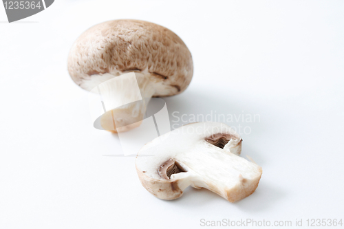 Image of Brown mushrooms