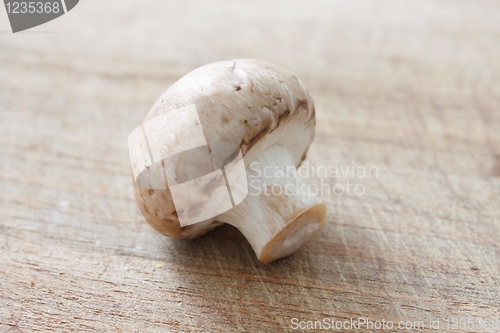 Image of Brown mushrooms