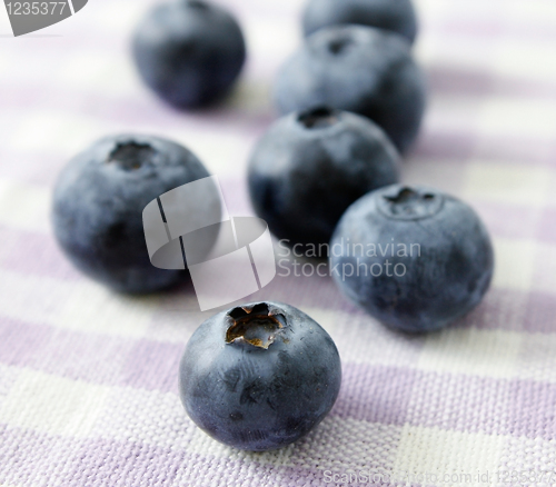 Image of Blueberries