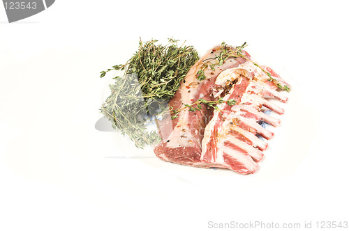 Image of lamb rib over white