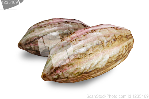 Image of Cocoa fruit