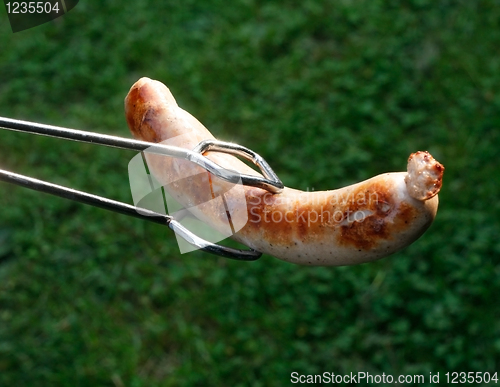 Image of Sausage