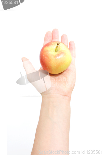 Image of Apple