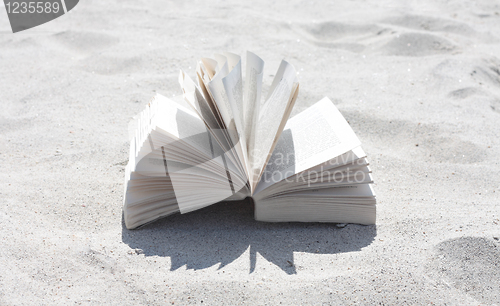 Image of Book by the beach
