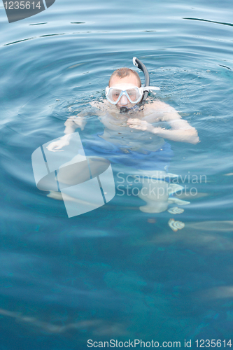 Image of Snorkelling