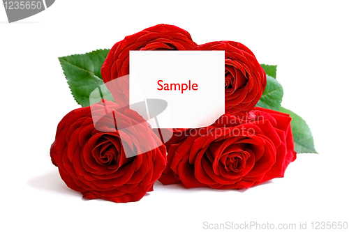 Image of Roses