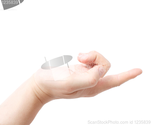Image of Finger