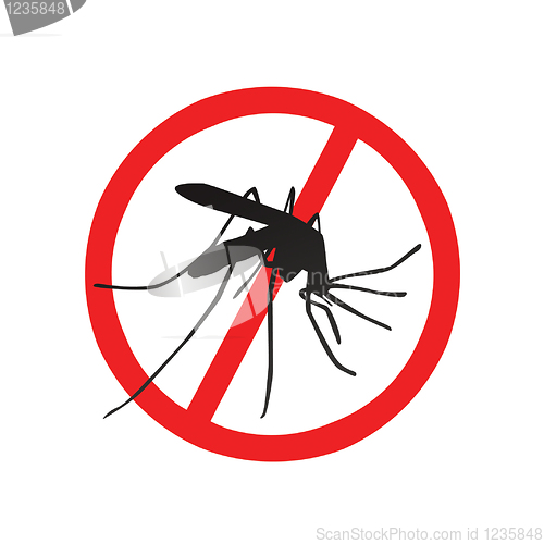 Image of Mosquito