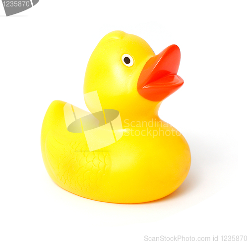 Image of Rubber duck