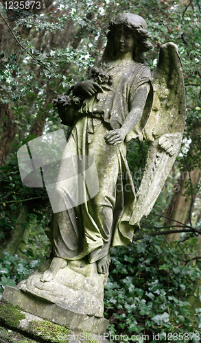 Image of Angel