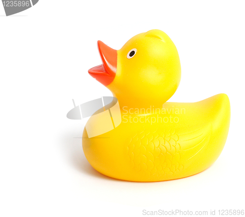 Image of Rubber duck