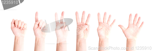 Image of Hand numbers