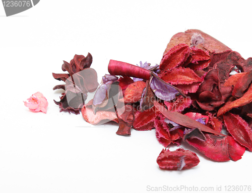 Image of Potpourri