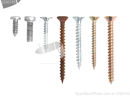 Image of Screws isolated on white