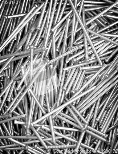 Image of Steel nails