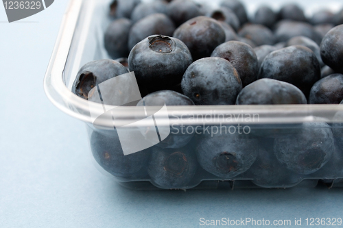 Image of Blueberries