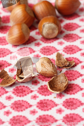 Image of Hazelnuts