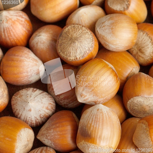 Image of Hazelnuts