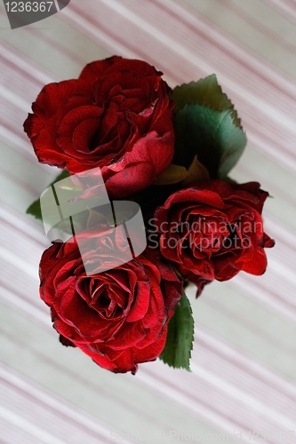 Image of Roses