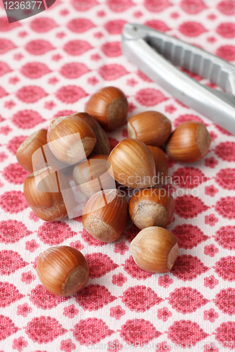 Image of Hazelnuts