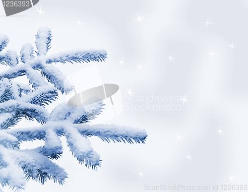 Image of Christmas tree