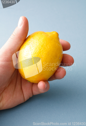 Image of Lemon