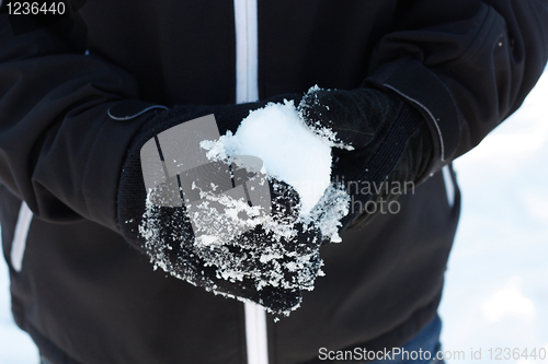 Image of Snowball