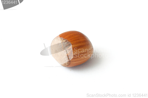 Image of Hazelnuts