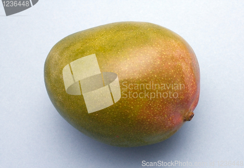 Image of Mango