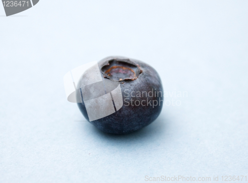 Image of Blueberry