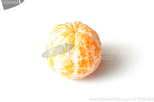 Image of Clementine