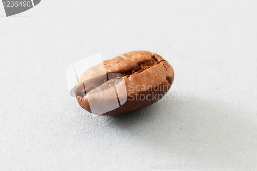 Image of Coffee bean