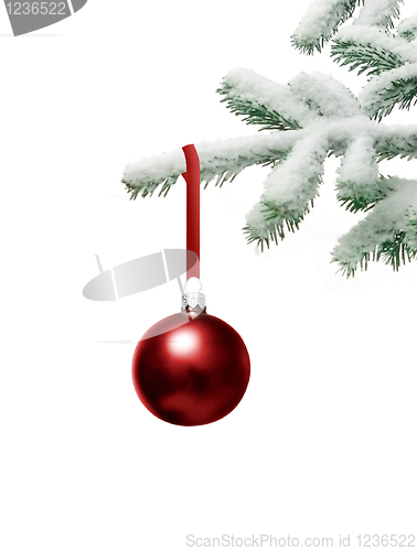 Image of Christmas tree with bauble