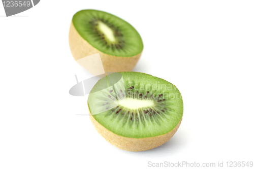 Image of Kiwis